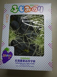 おいしいぶどう「さのみのり」