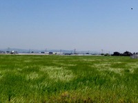【今日の配達】今日は千代田地区＠新商品開発