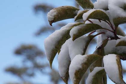 積雪～製造の1日