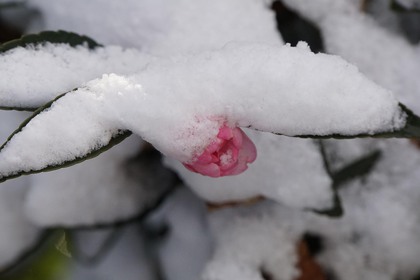 積雪～製造の1日