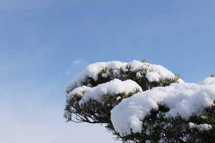 積雪２日目～建国記念の日