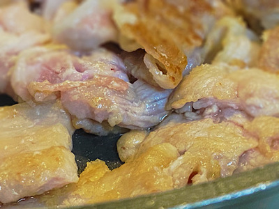 2色豚丼