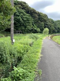 夏目友人帳の平和主義
