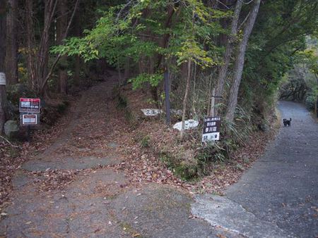 右が赤川温泉、左が登山道