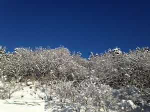 兵庫県ハチ北スキー場　その1