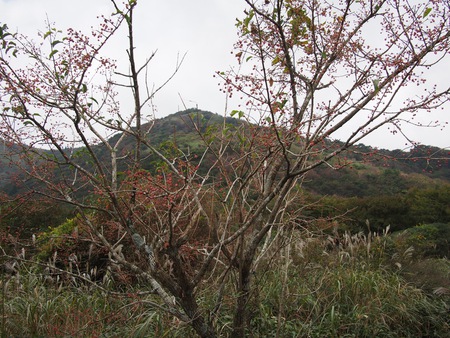 天山（1,046m）