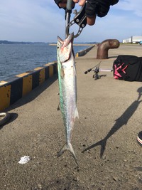 食欲の秋！釣りの秋！