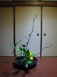 伸