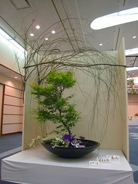 夢