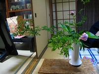 瓶
