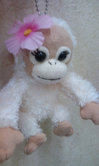 新たな仲間！