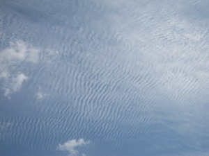今日の空～秋晴れ～