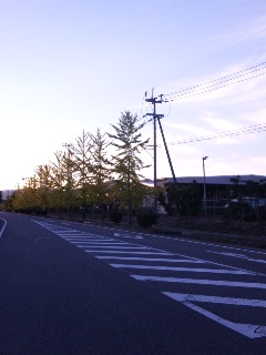今年の紅葉は