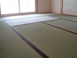 青梅