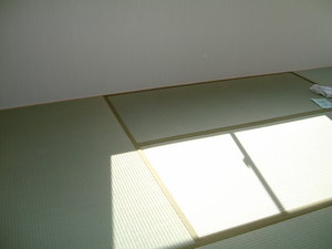 大きな家