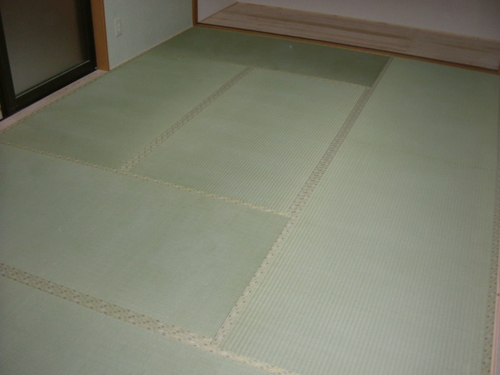 新品