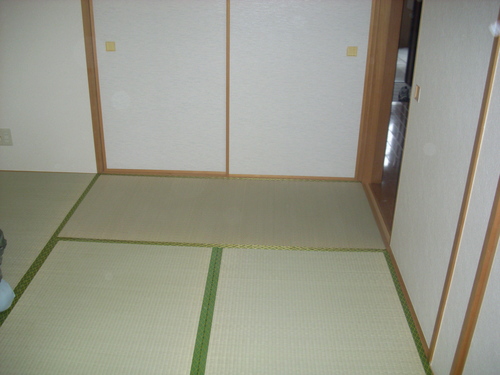 賃貸マンションの畳