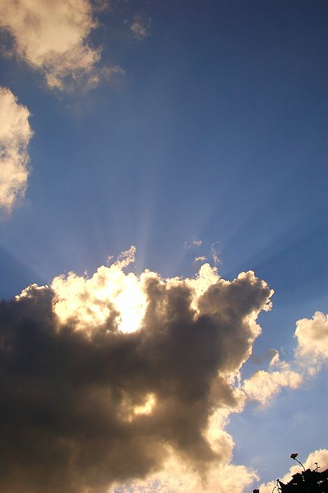 今日の空