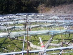 高所での力仕事！