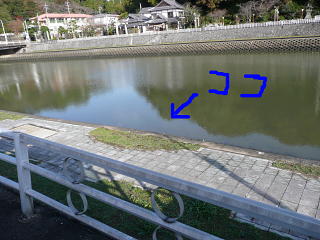 また遭遇！！