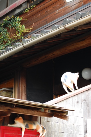 尾道の・・・・。