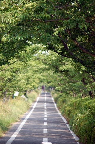 除福サイクルロード