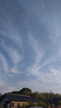 睡眠薬をのんでみたけど……