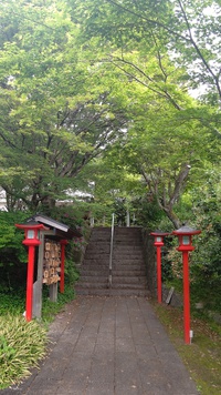 コジュケイが鳴く新緑の修学院で