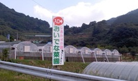 自分の農園が持てるかも