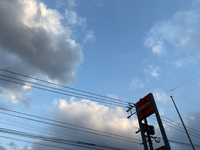 2025年03月16日