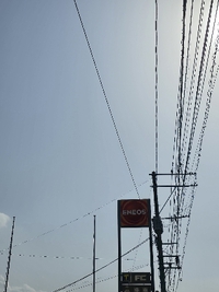 2025年03月24日