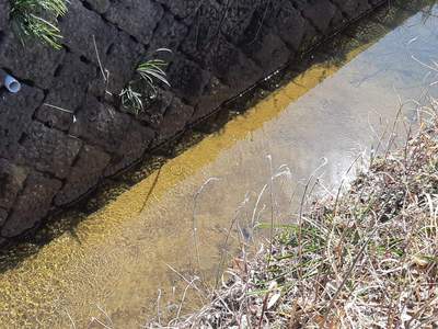 お川と水の音