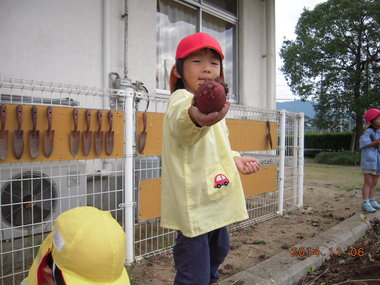 芋掘り