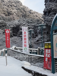 車で大丈夫です　「清水」来られます
