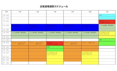 【お子様向けに無料開放してます】こども体育館をはじめました