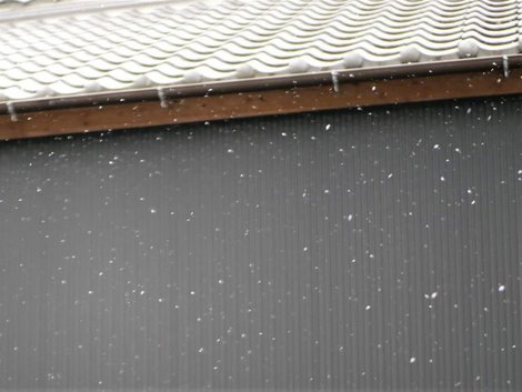 初雪2020冬