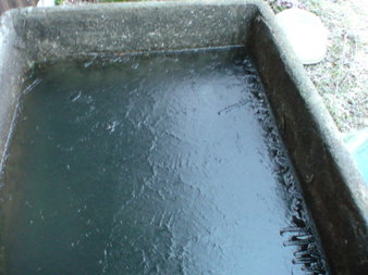 厚い氷ができました！