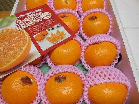 「紅まどんな」を初めていただきました！