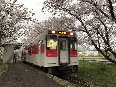 見事な浦ノ崎駅の桜のトンネル