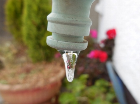 外の水道が凍ってました！
