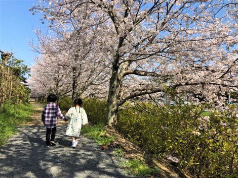 仲のいい従兄妹同士