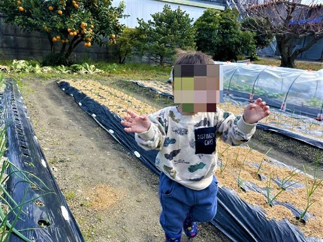 農家ボーイ
