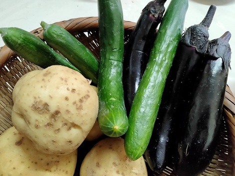 自家製野菜のお供え