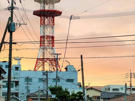 太陽に感謝