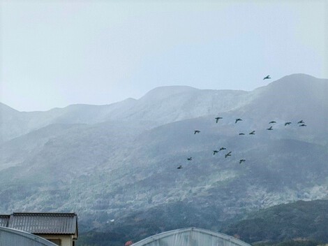 山は白銀
