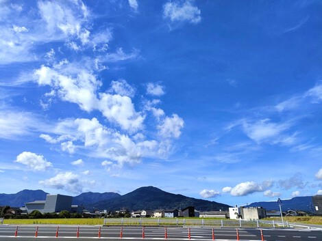 暑中見舞い