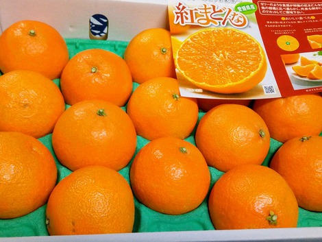 「紅まどんな」たちのララバイ