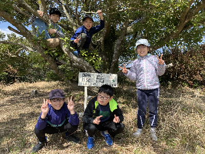 腰岳に登ろう!黒曜石拾い・石器づくり 腰岳に登ろう!黒曜石拾い・石器づくり