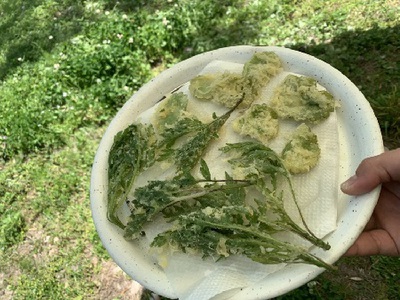 春を食べよう!筍ほり。よもぎおやつ作り。 春を食べよう!筍ほり。よもぎおやつ作り。