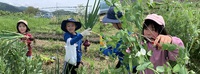 5月の野遊び：春のお野菜クッキングとハヤ釣り